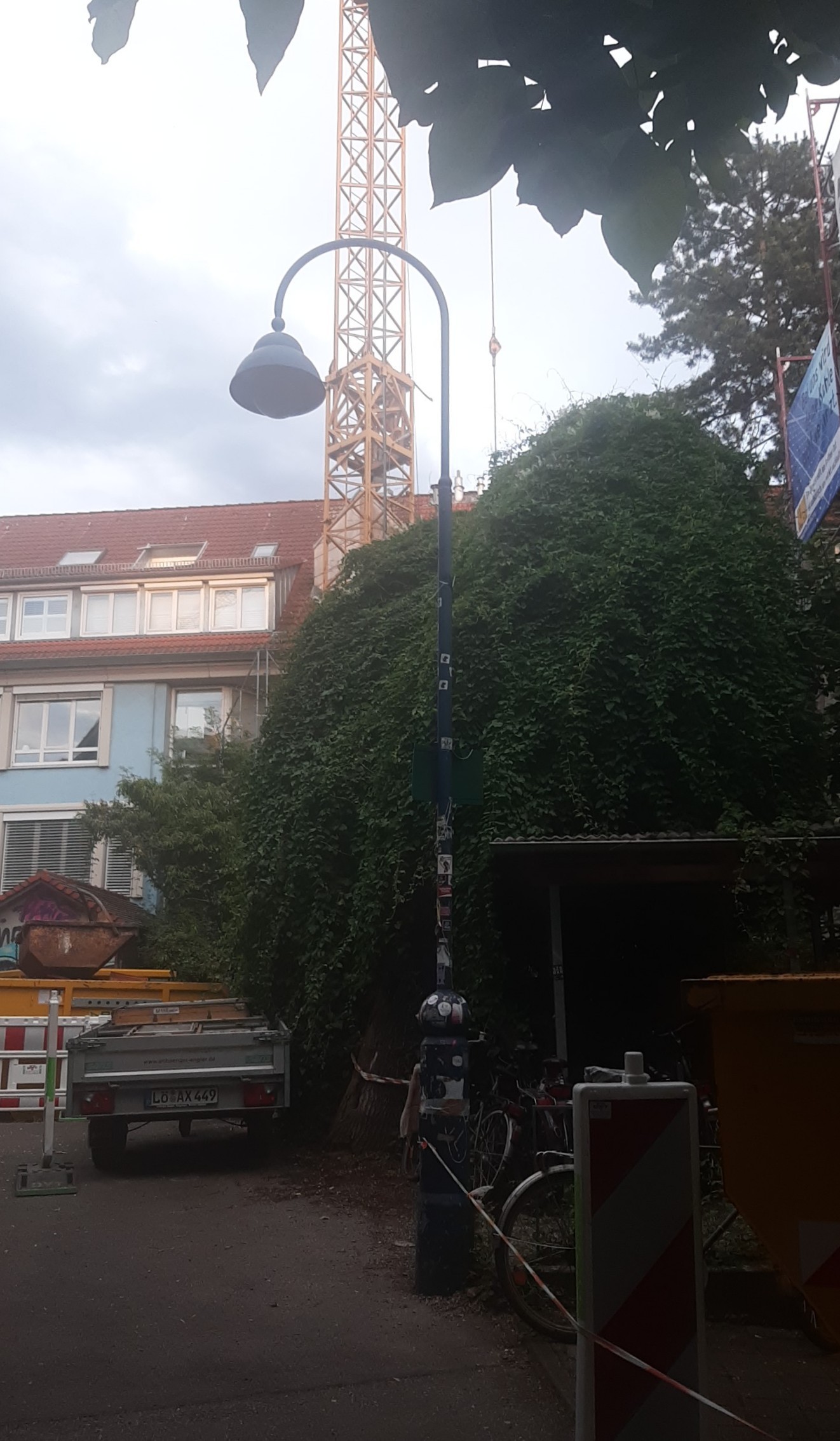 Knöterich legt eigtl geraden Baum nach starken Regenfällen um.